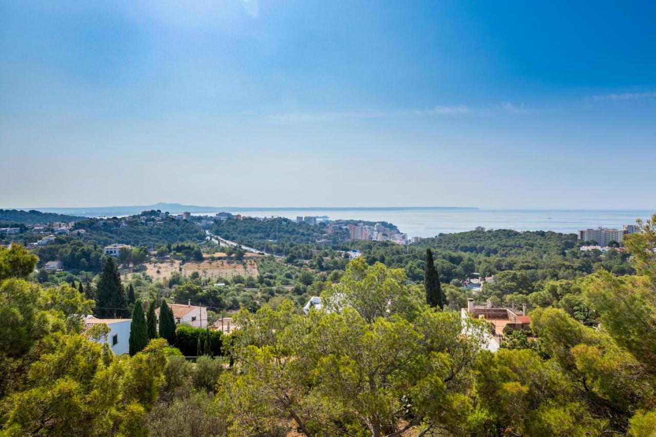 Big Villa Can Pedro In Palma De Mallorca Eksteriør bilde