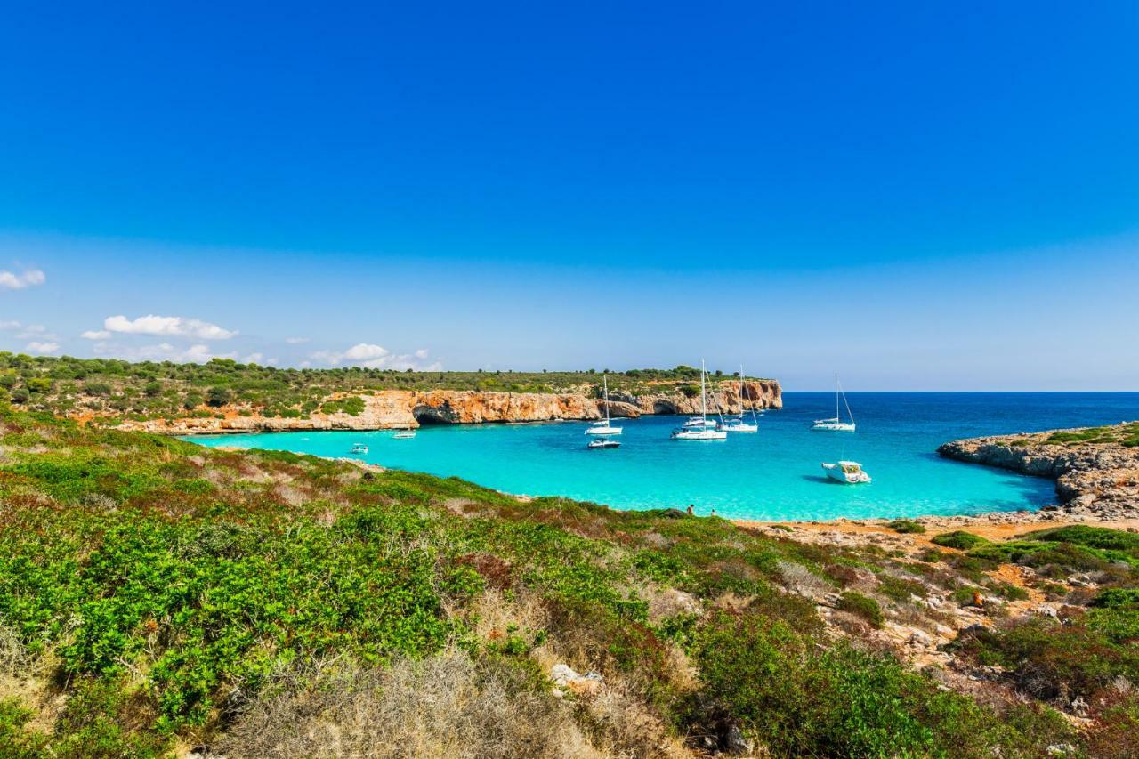 Big Villa Can Pedro In Palma De Mallorca Eksteriør bilde